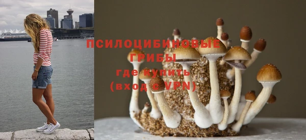 бутират Алзамай